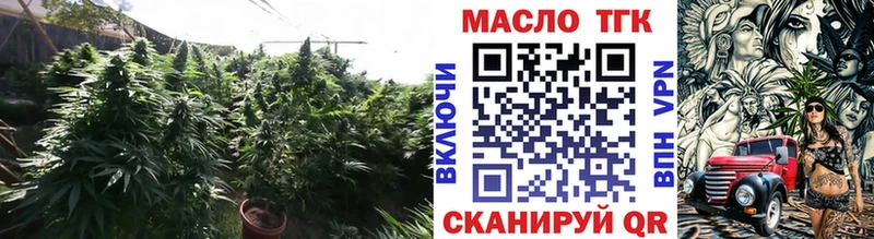Купить закладки  Вышний Волочёк  Дистиллят ТГК Wax 