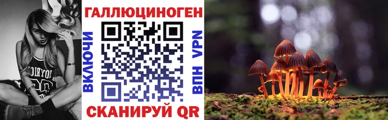 Псилоцибиновые грибы GOLDEN TEACHER  Купить  Вышний Волочёк 