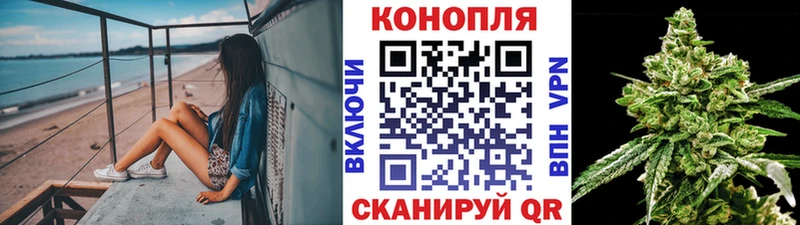 Бошки Шишки планчик  Купить закладки  Вышний Волочёк 